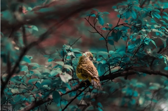 微信截图_20240613171311