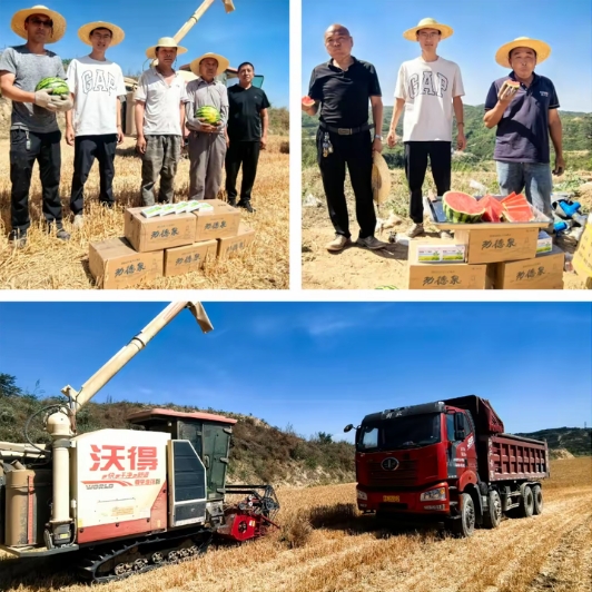 微信截图_20240615093727