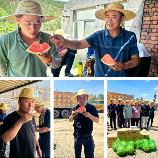 微信截图_20240615093752