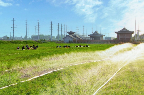 微信截图_20240615101212