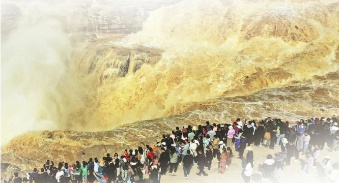 微信截图_20240617105349