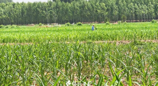 微信截图_20240627150051