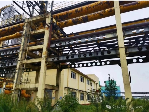 微信截图_20240628171317