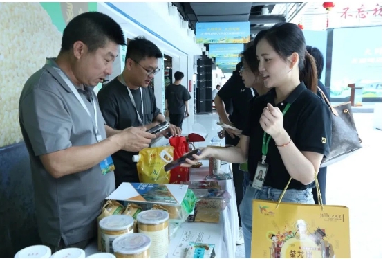 微信截图_20240701145756