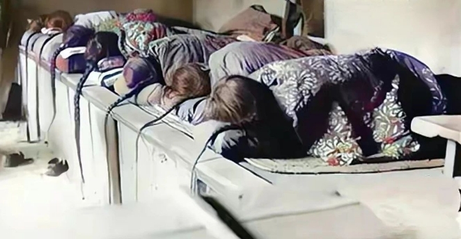 微信截图_20240702104432