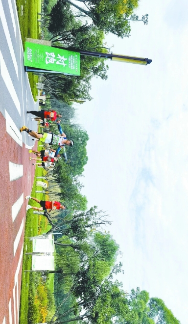 微信截图_20240702114649