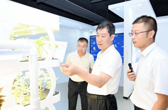 微信截图_20240702114946