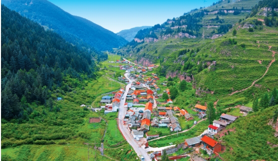 微信截图_20240703161506