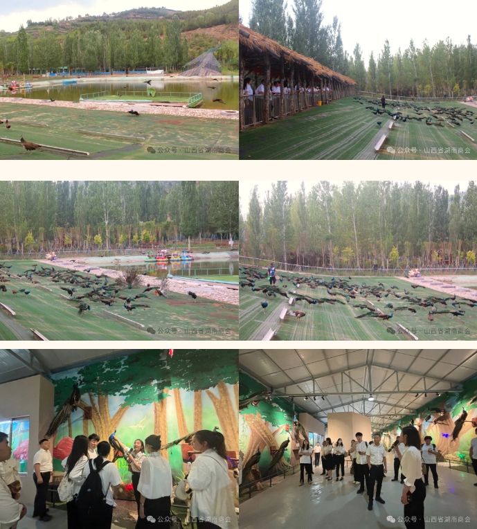 微信截图_20240705102641