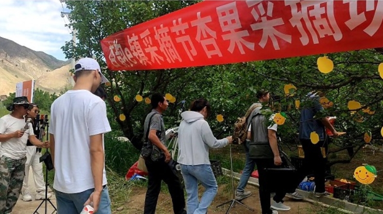 微信截图_20240705103916