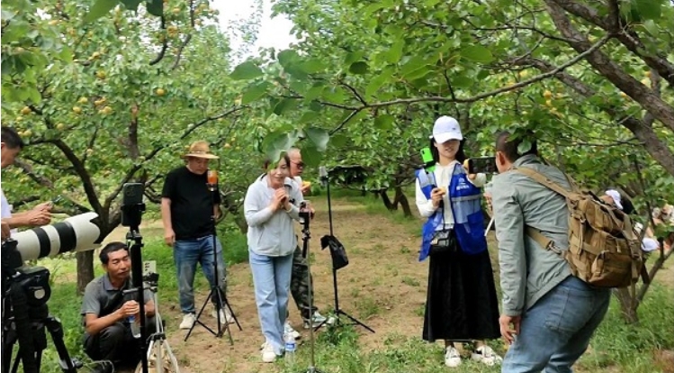 微信截图_20240705103925