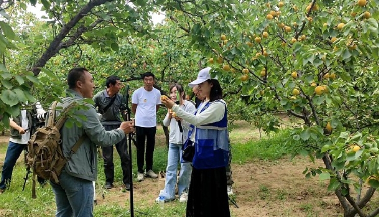 微信截图_20240705104044