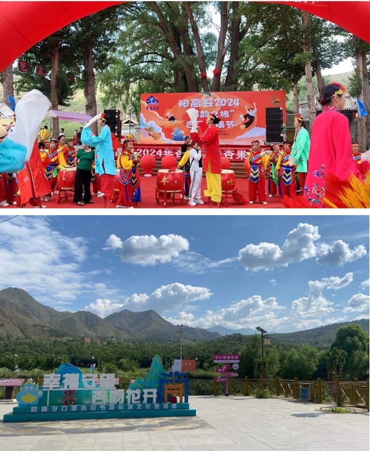 微信截图_20240705103947