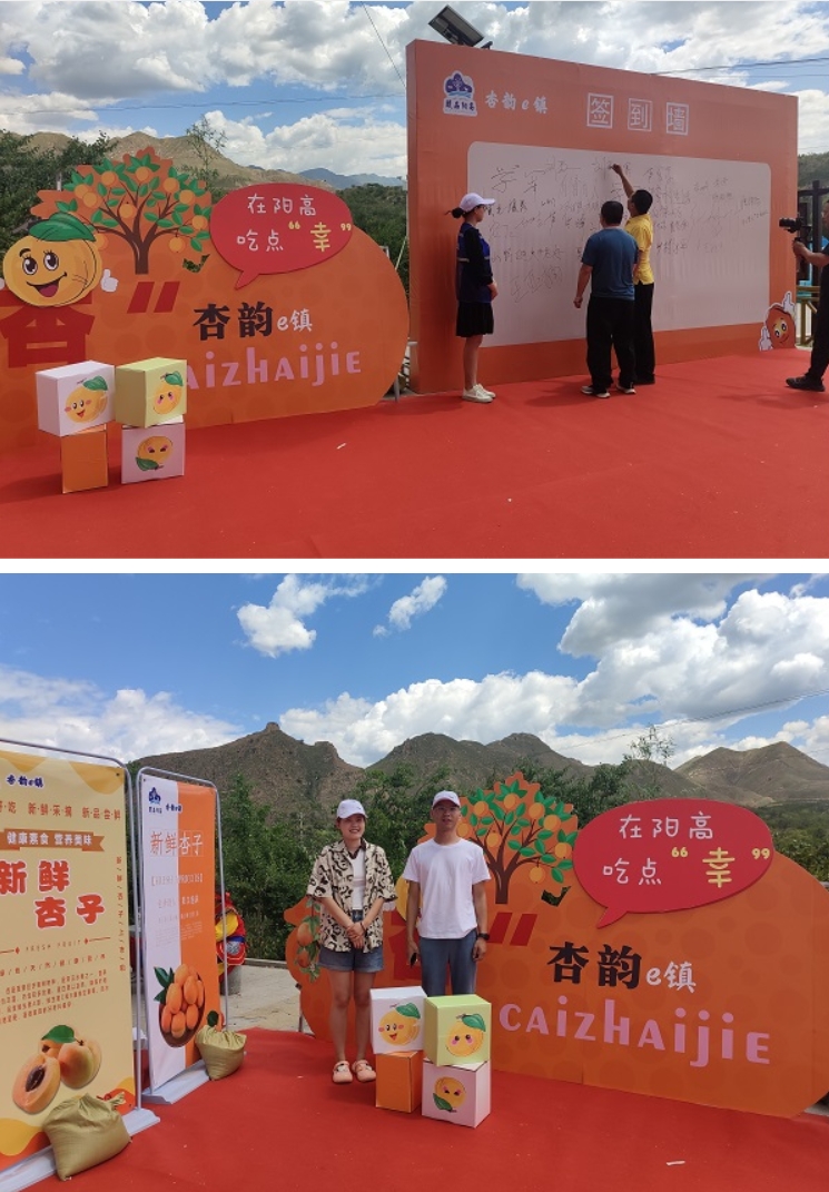 微信截图_20240705104003