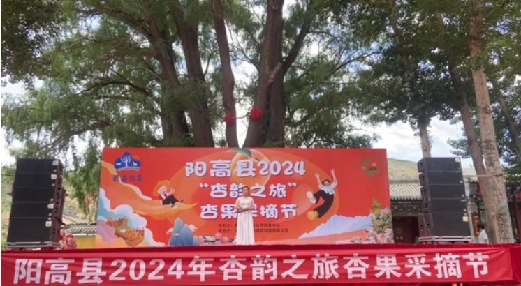 微信截图_20240705104025