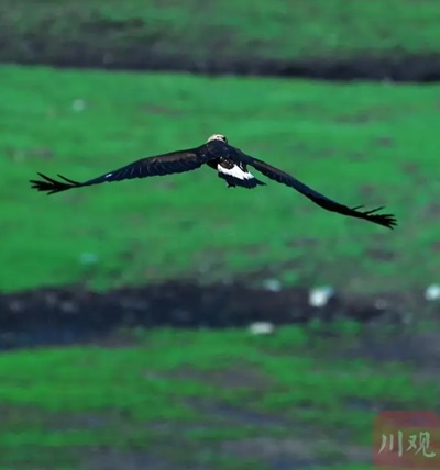 微信截图_20240705172332