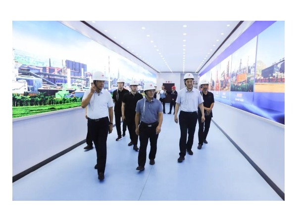 中国财政科学研究院投融资研究所所长彭程一行在宏达集团调研