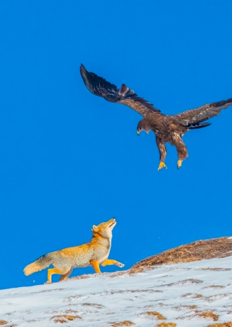 微信截图_20240712154840