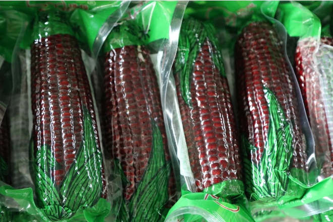 微信截图_20240716125729