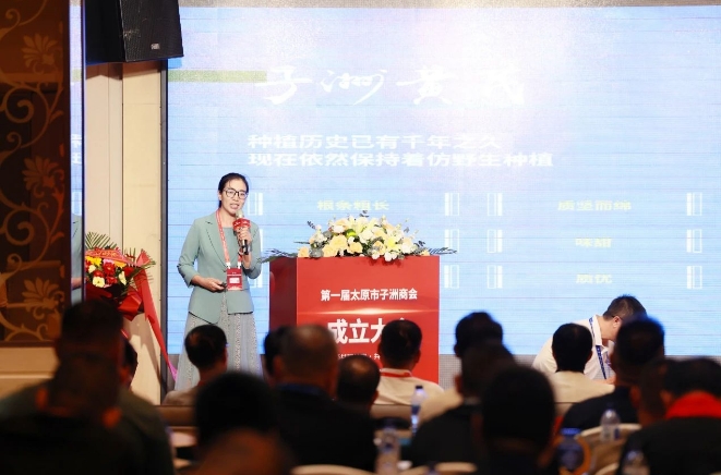 微信截图_20240716162953