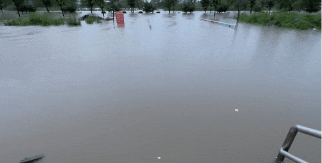 微信截图_20240717171211