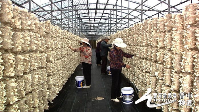 13261188_75bfd90b-9eaa-46a9-93c6-ad07849c8ce7