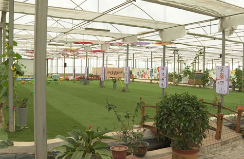 13264793_e31158a2-18c4-4973-b5a4-eca9b59a2281