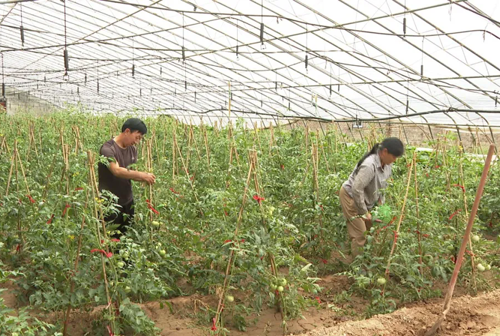 13264793_13e8be21-8cad-463c-8627-082752065256