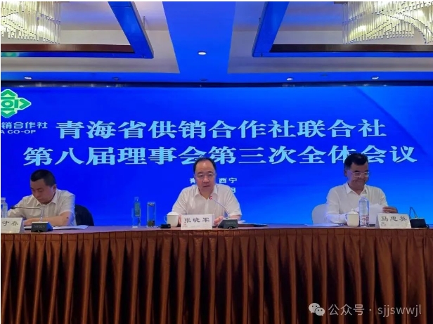 微信截图_20240719162255