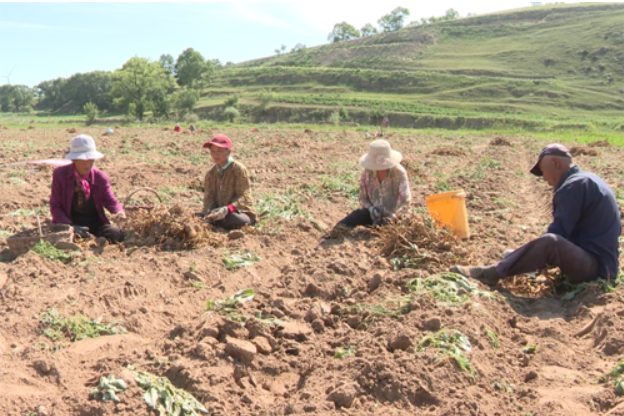 微信截图_20240724151145