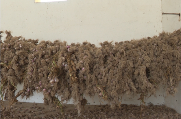 微信截图_20240724151155