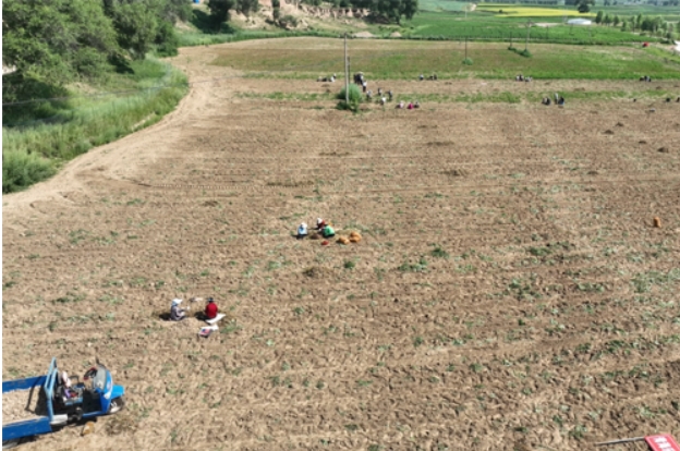 微信截图_20240724151207