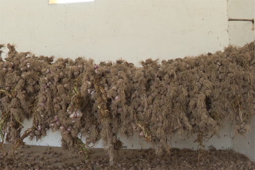 13268453_73b70997-058b-45b7-894e-4f0e7c95158dcopy