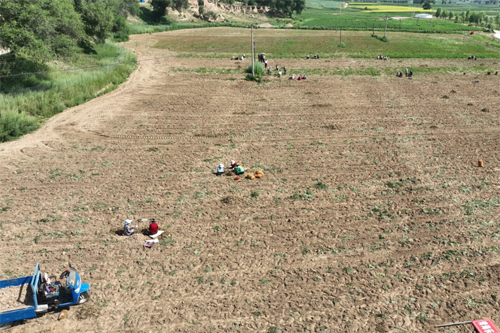 13268453_72b90098-60ad-45bf-81c2-17960c4359fecopy