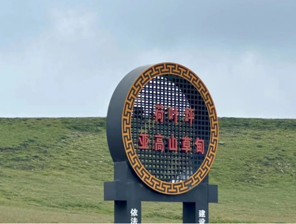 微信截图_20240725154414