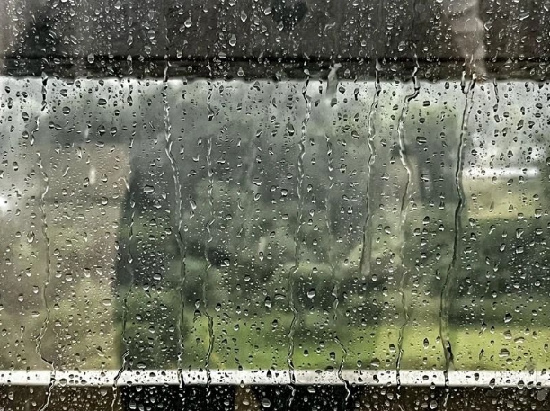 微信截图_20240726154117