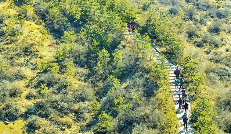 五龙城郊森林公园