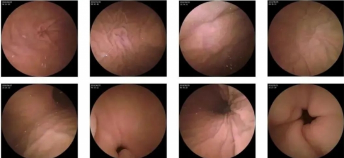 微信截图_20240803172531