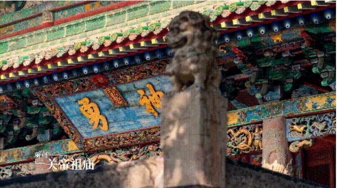 微信截图_20240806145646