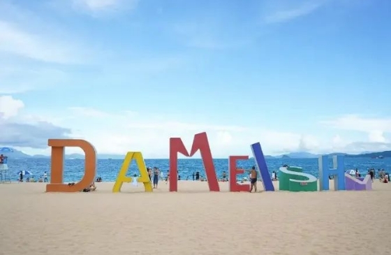 微信截图_20240815160645