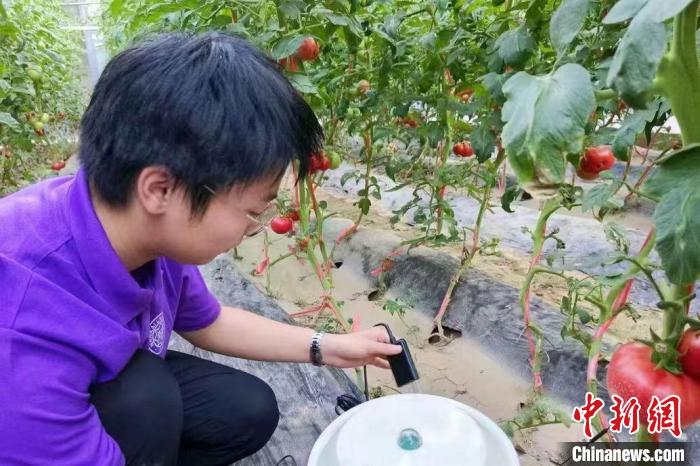 504489f3-a374-41f9-a78c-8237a22d3dcb_zsite