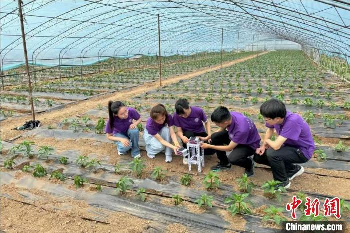 1d276836-8b25-4af9-829b-92d5f38b46e6_zsite