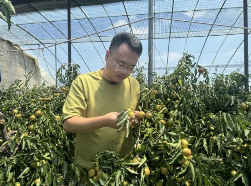 微信截图_20240903131752