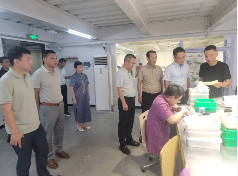 微信截图_20240910073138