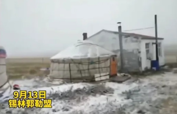 微信截图_20240918225000