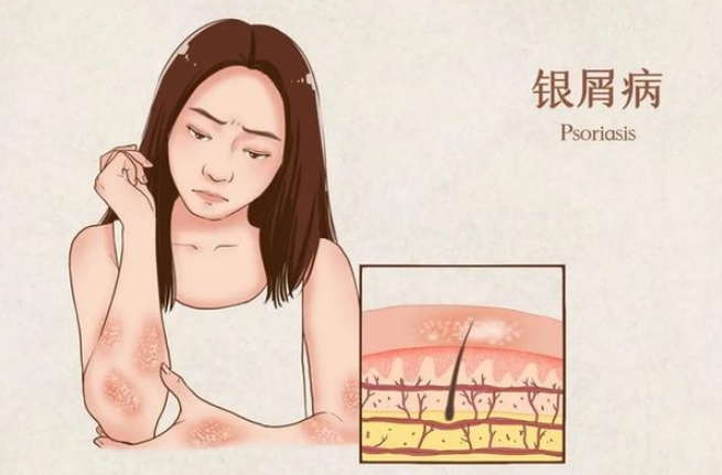 微信截图_20240919160409