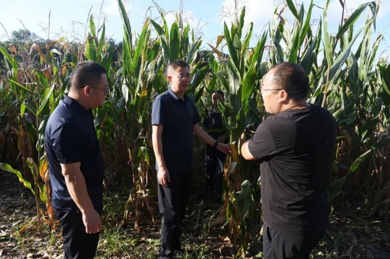 山西安泽县委书记刘锋在冀氏镇调研 要求有力有序推进适度规模经营