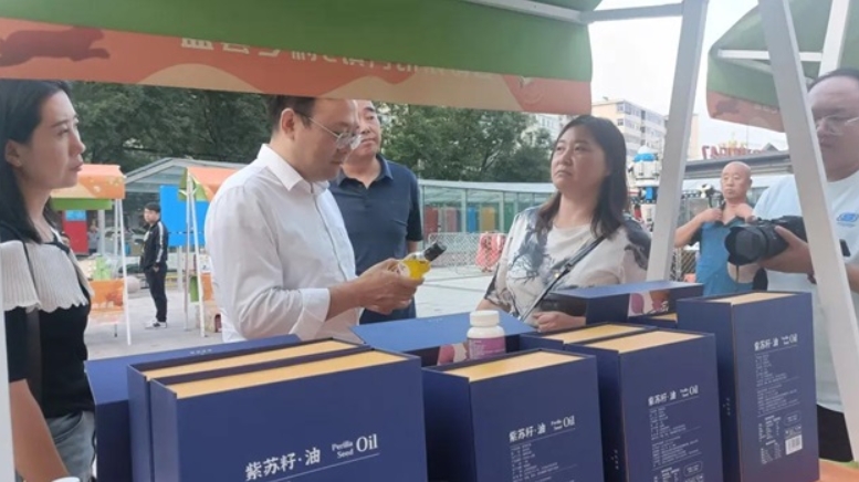 微信截图_20240923123748