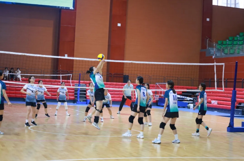 微信截图_20240926184928