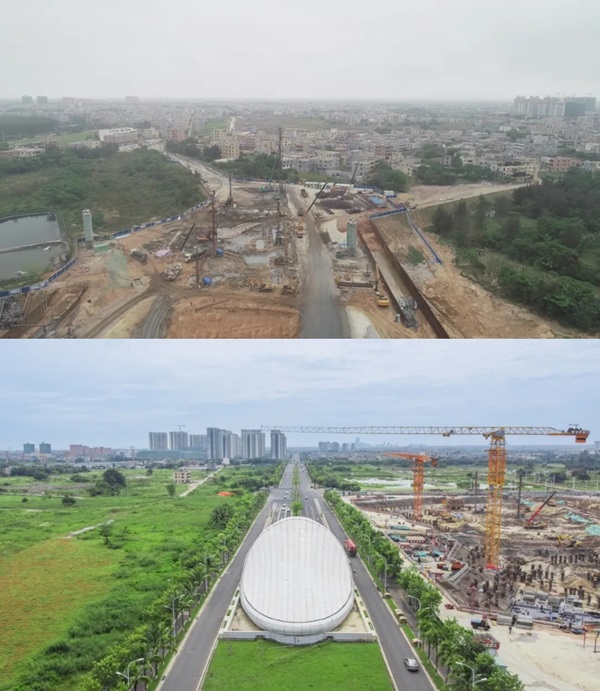 微信截图_20241009154011